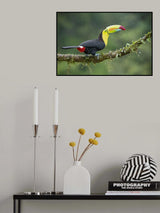 Bright on a Rainy Day Poster och Canvastavla