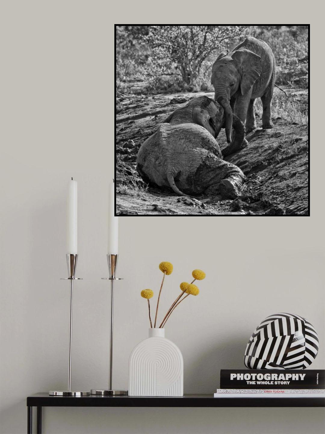Poster och Canvastavla