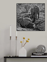 Poster och Canvastavla