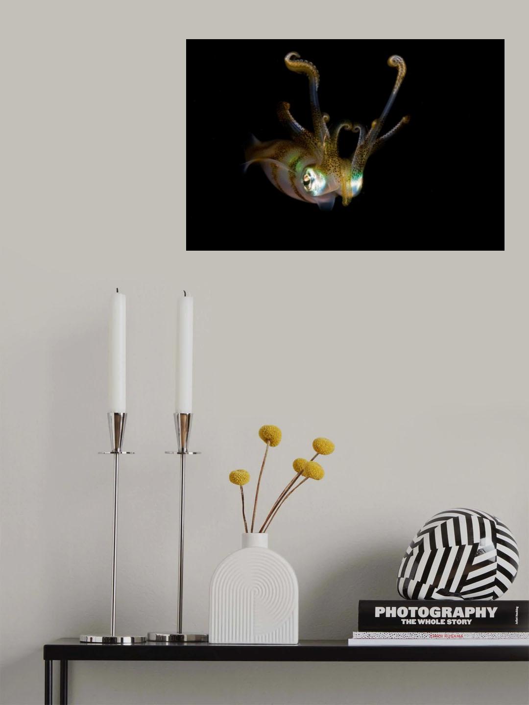 Reef Squid Poster och Canvastavla