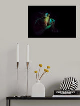 Colors Poster och Canvastavla