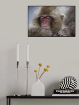 Resting Time Poster och Canvastavla