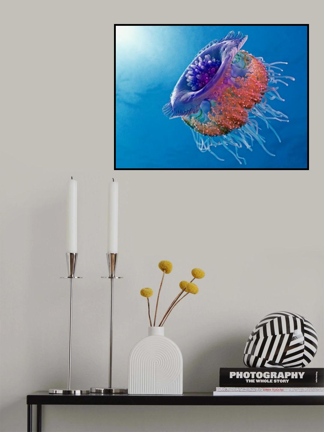 Crown Jellyfish Poster och Canvastavla