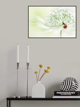 Lady in white Poster och Canvastavla