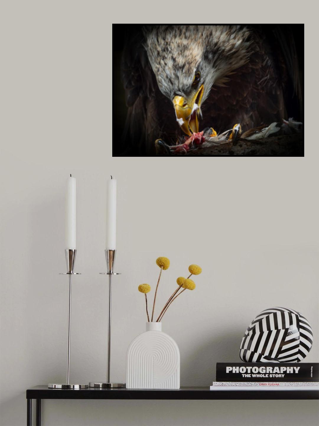 American Eagle...dinnertime. Poster och Canvastavla