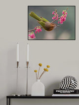 斜个身子，够得着。 Poster och Canvastavla