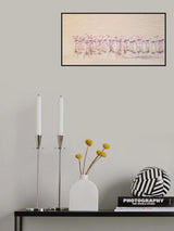Marching pinks Poster och Canvastavla
