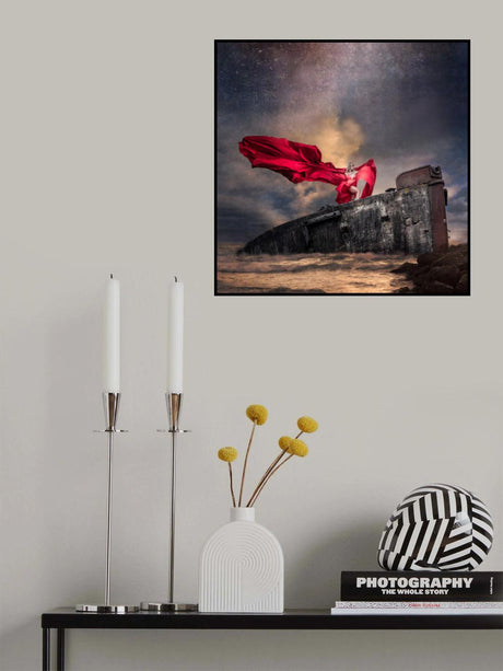 Shipwrecked Poster och Canvastavla