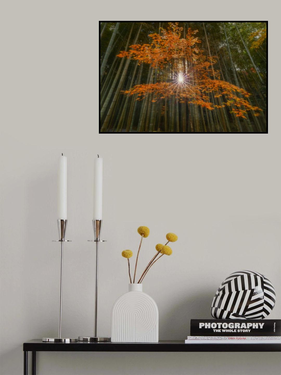 Ray of the Sun Poster och Canvastavla