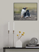 Brothers Poster och Canvastavla