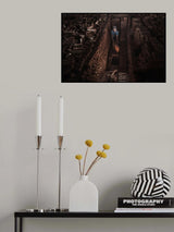 Throw it ! Poster och Canvastavla