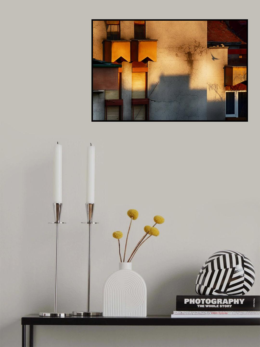 morning projections Poster och Canvastavla