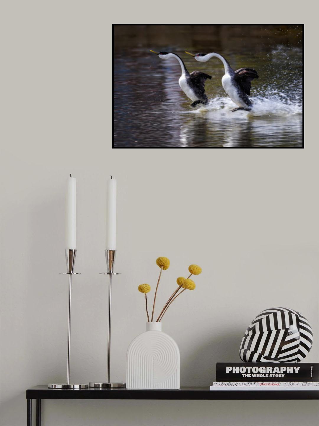 Love Dance Poster och Canvastavla