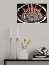 Order and Chaos Poster och Canvastavla