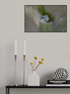Colouful paddy field Poster och Canvastavla