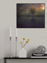 Some Time After... Poster och Canvastavla