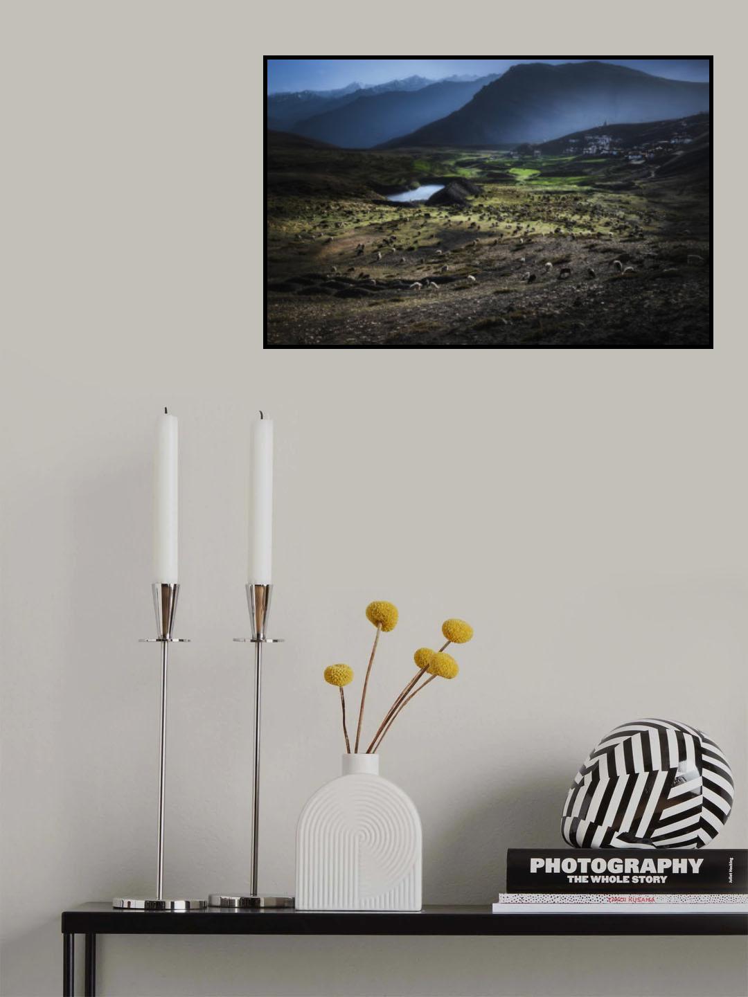 Sheep grazing Poster och Canvastavla