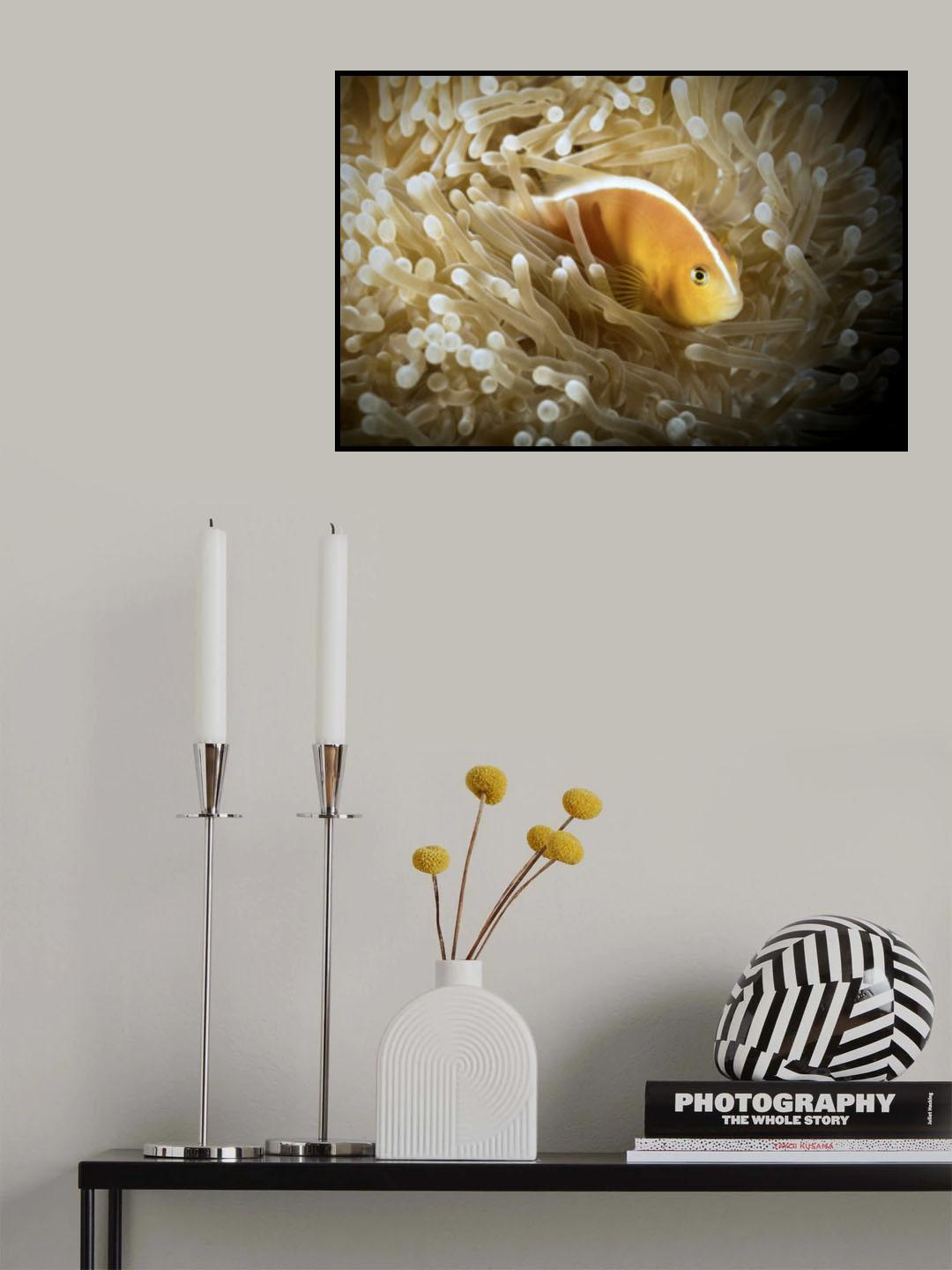 Symbiose Poster och Canvastavla