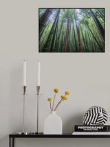 Tall Poster och Canvastavla