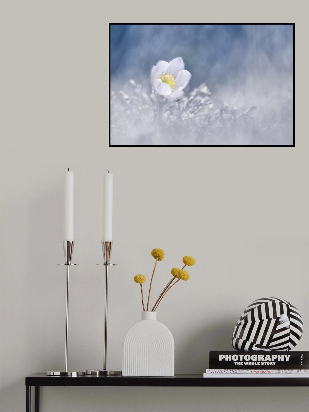 The diamond of the mountain Poster och Canvastavla