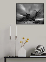 坚韧 Poster och Canvastavla