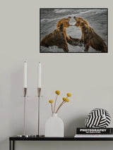 Fight for the fish Poster och Canvastavla