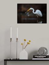 Too small for breakfast Poster och Canvastavla