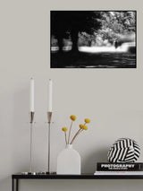 Poster och Canvastavla