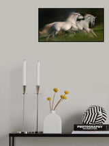 gallop for two Poster och Canvastavla