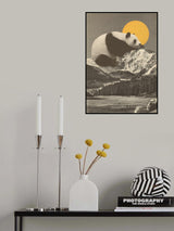Giant Panda Nap Poster och Canvastavla
