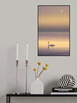 So Lonely Poster och Canvastavla