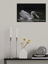 Good food Poster och Canvastavla