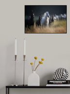 Gallop Poster och Canvastavla