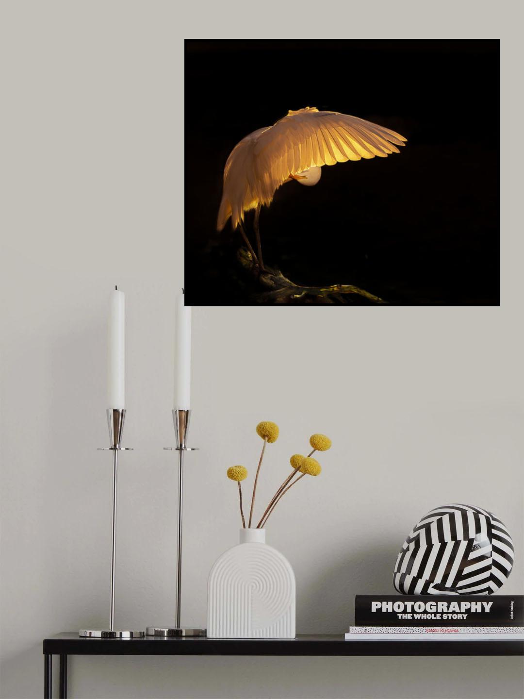 Light me up Poster och Canvastavla