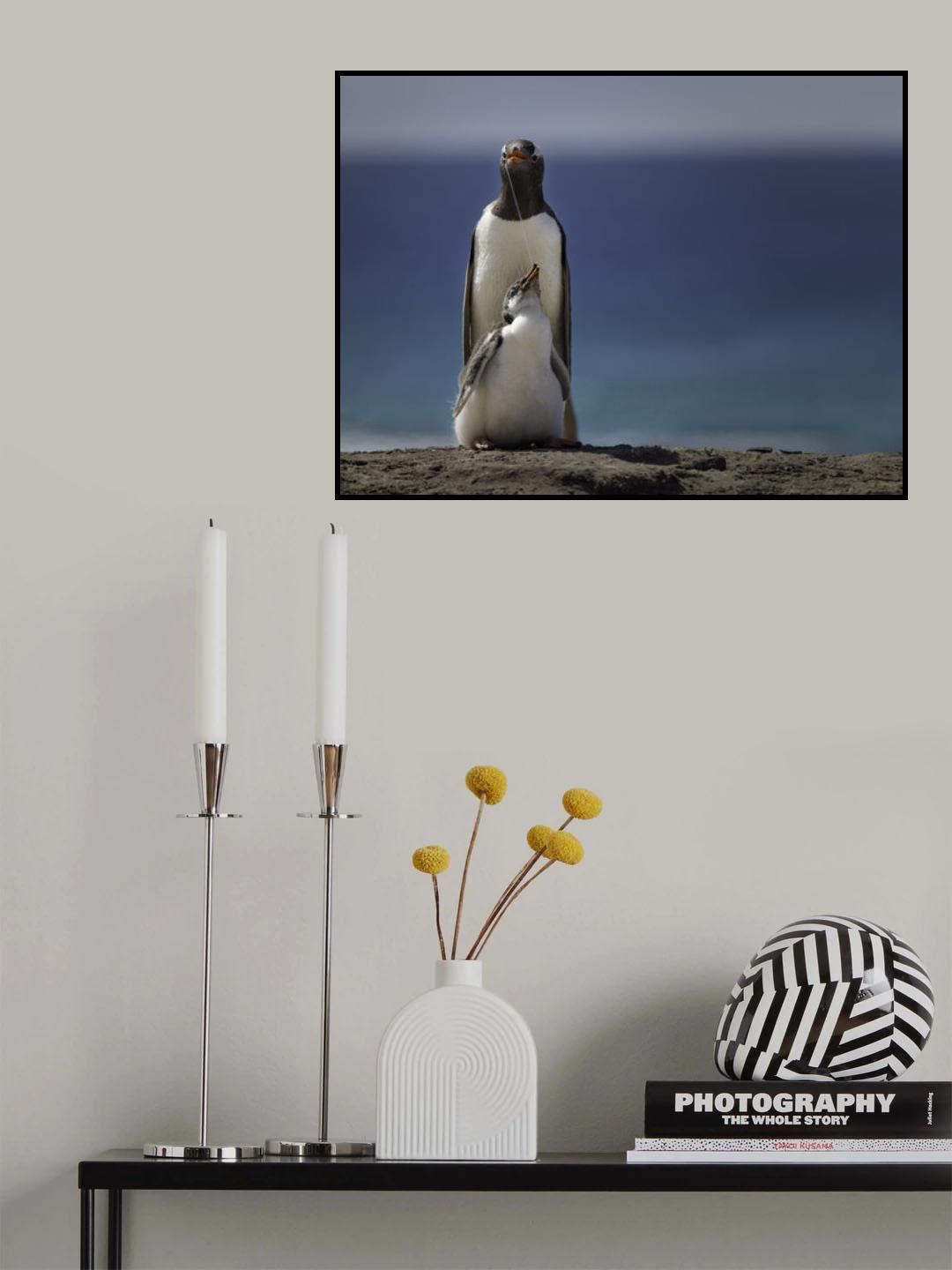 The link Poster och Canvastavla