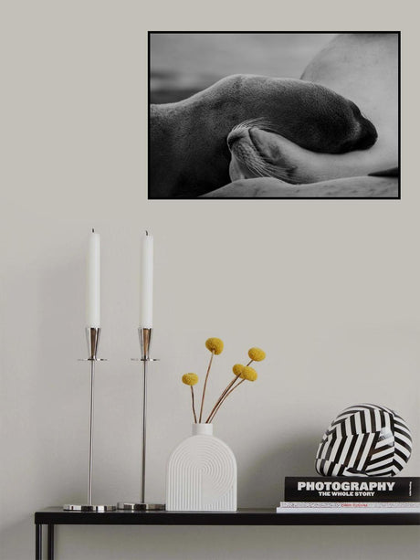 Sleeping Beauty Poster och Canvastavla