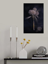 Evening is Close Poster och Canvastavla