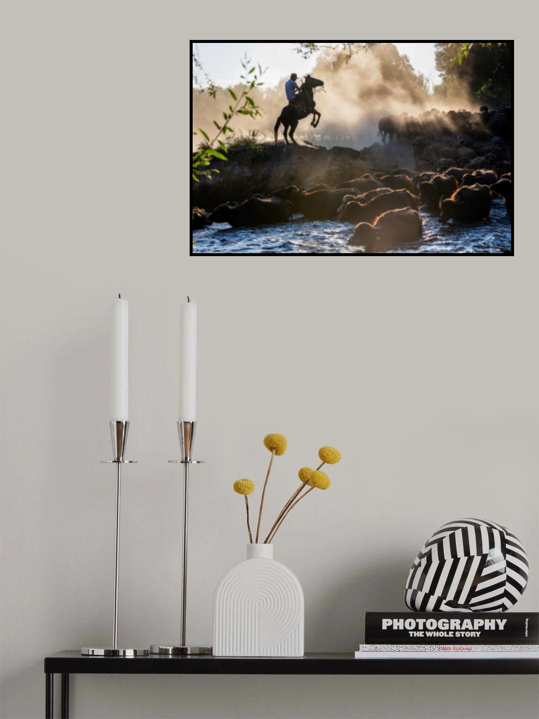 travel Poster och Canvastavla