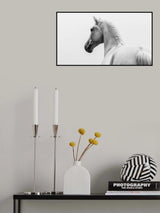 a short story about a shorn horse Poster och Canvastavla