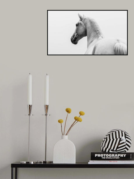 a short story about a shorn horse Poster och Canvastavla