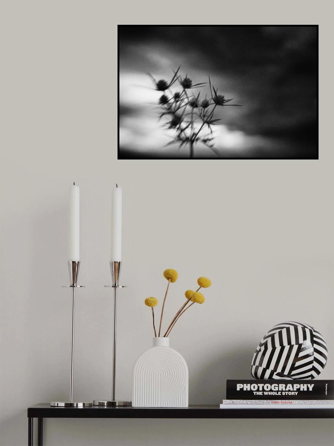 Poster och Canvastavla