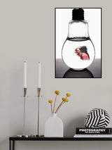 betta fish red Poster och Canvastavla