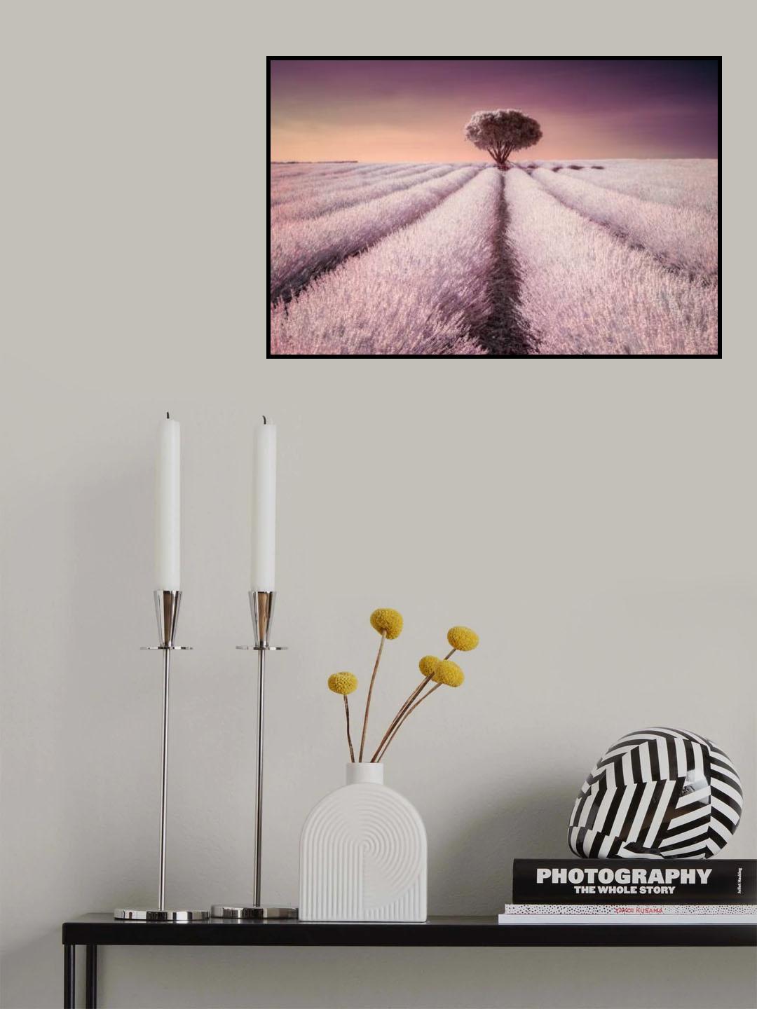 El solitario Poster och Canvastavla