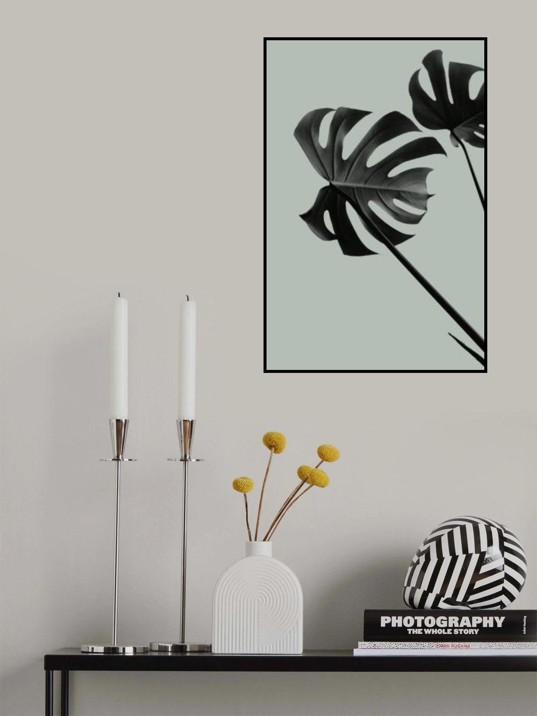 Monstera Teal 09 Poster och Canvastavla