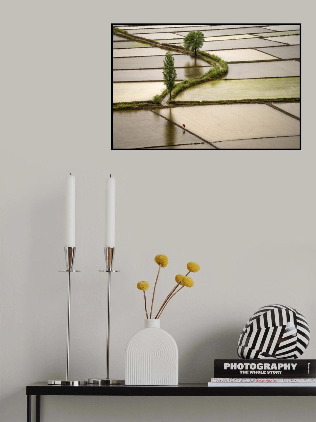 ricefield Poster och Canvastavla