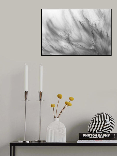 Poster och Canvastavla
