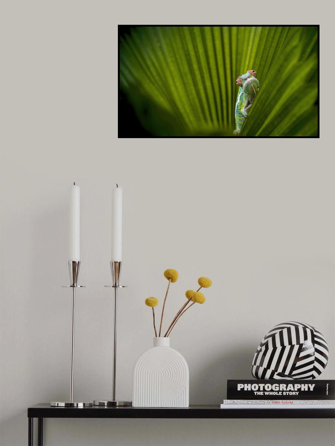 What Is That? Poster och Canvastavla