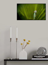 What Is That? Poster och Canvastavla