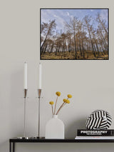 image of a forest after a fire Poster och Canvastavla