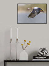 WINGS Poster och Canvastavla